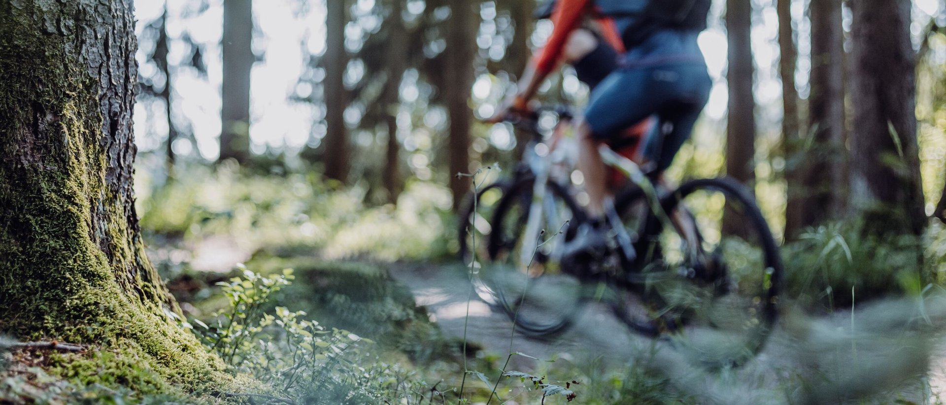 Bike-Tour ins Obertal