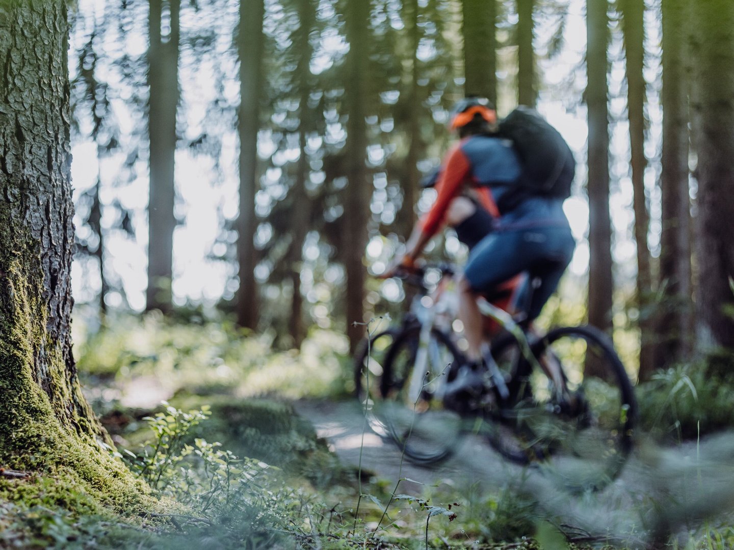 Bike-Tour ins Geltnachtal Bike-Tour ins Geltnachtal