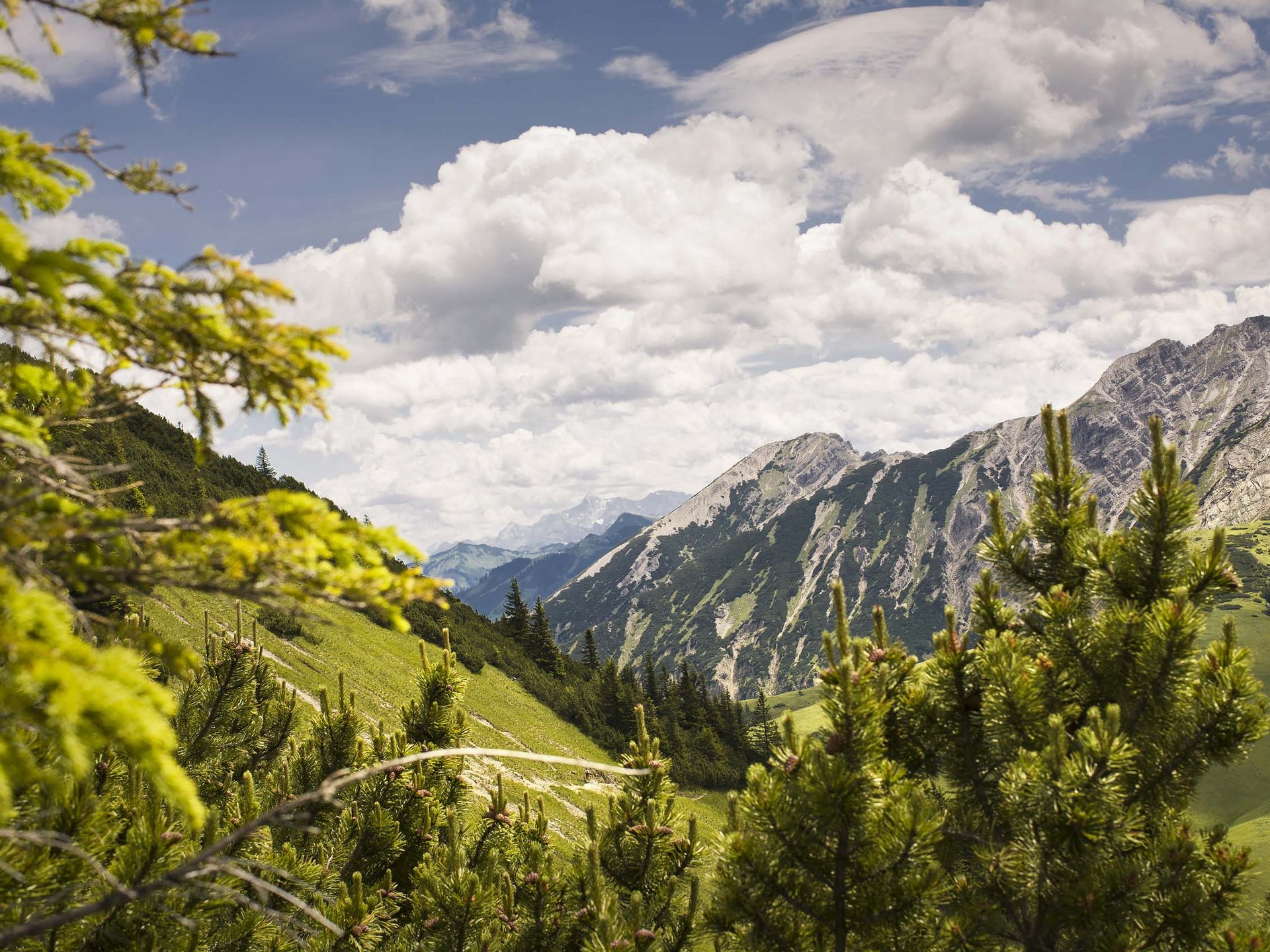 Appartement-Hotel im Allgäu: Erlebnisse Berglandschaft mit grünen Tannen und bewölktem Himmel