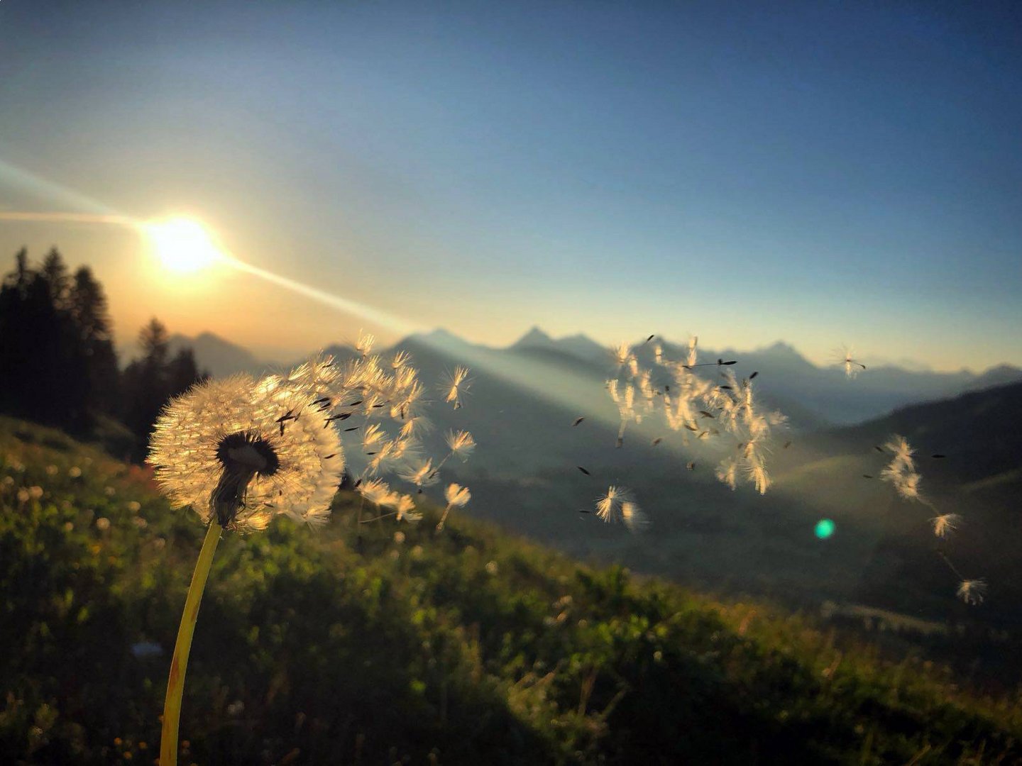 Alpin Lodges Oberjoch – Exklusive Ferienwohnungen mit Wellness Alpin Lodges Oberjoch – Exklusive Ferienwohnungen mit Wellness