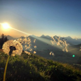 Appartement-Hotel im Allgäu: Erlebnisse Appartement-Hotel im Allgäu: Erlebnisse