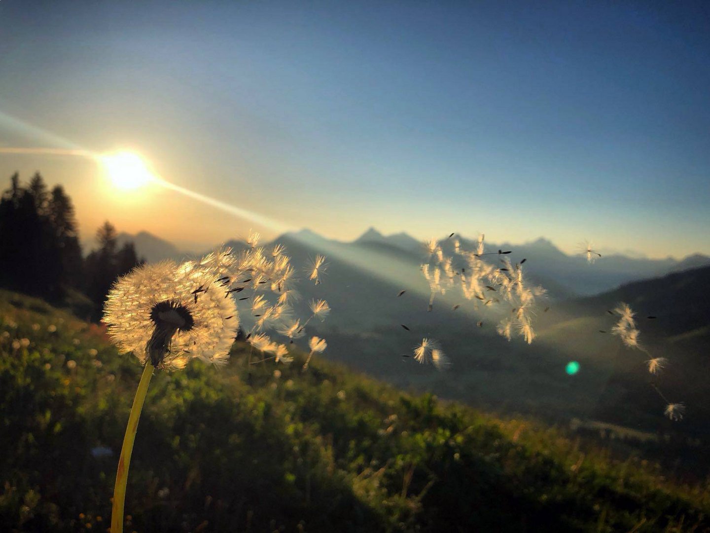 Alpin Lodges Oberjoch – Exklusive Ferienwohnungen mit Wellness Alpin Lodges Oberjoch – Exklusive Ferienwohnungen mit Wellness