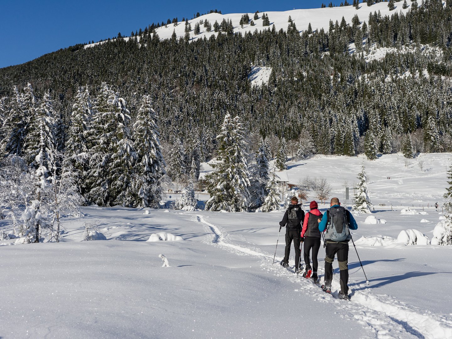 Ferienwohnung am Skigebiet: Winterspaß garantiert Ferienwohnung am Skigebiet: Winterspaß garantiert