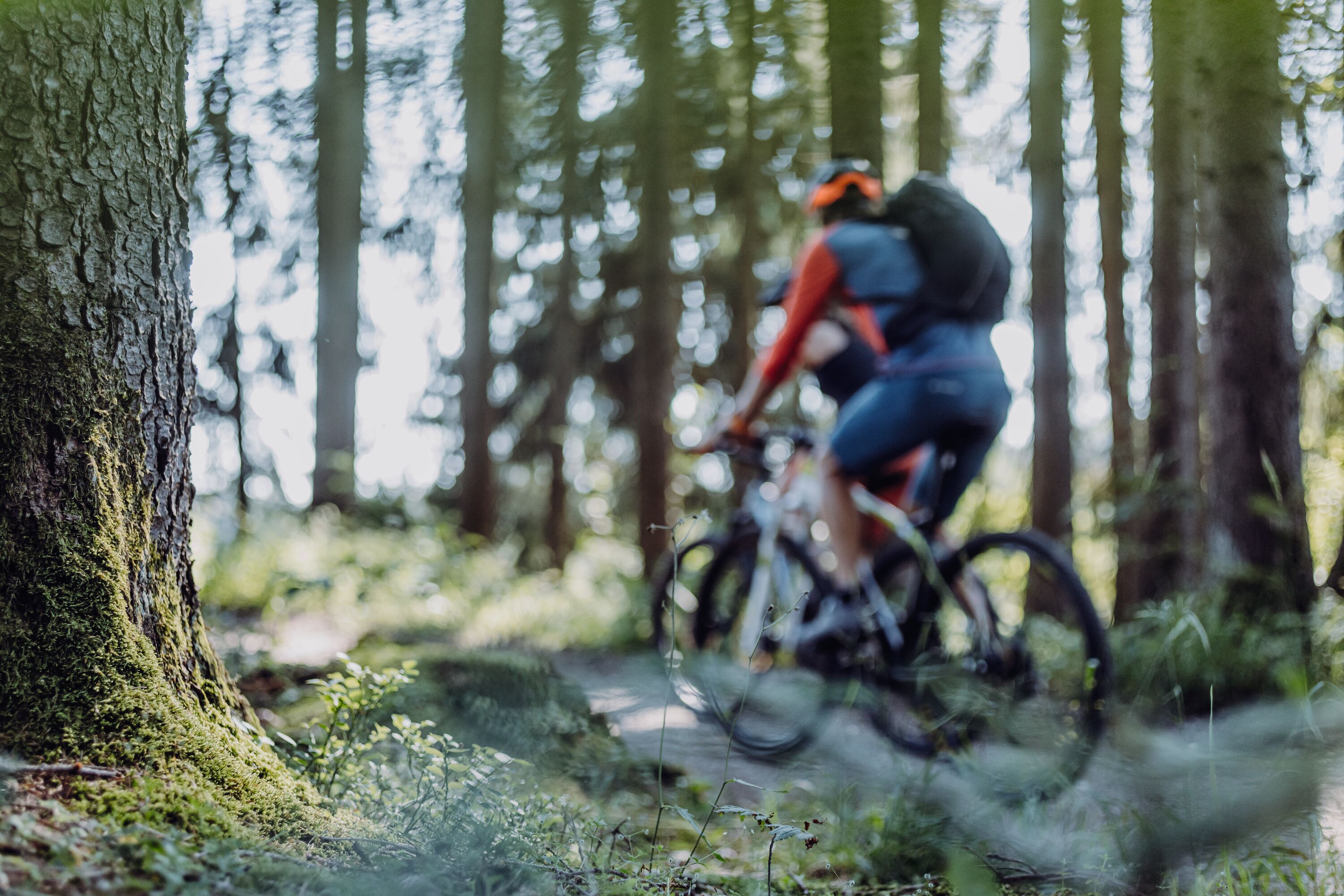 Radfahren im Allgu: Bikepark Hornbahn Hindelang u. v. m.